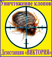Уничтожение клопов
