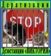 Дезостанция  «ВИКТОРИЯ» ,  услуги,  дератизации.