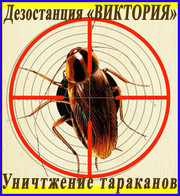 Уничтожение тараканов