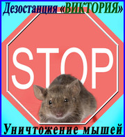 Уничтожение мышей (дератизация)