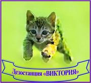 Дезостанция «ВИКТОРИЯ»,  уничтожение грызунов,  насекомых.