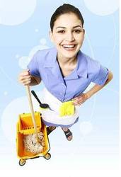 Уборка квартир,  коттеджей и офисов в г. Кокшетау.