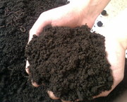 Чернозём,  Навоз  Конский и Перегной,  доставка ЗИЛ с/х 6 т. по  Алматы и обл.