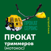Аренда триммера