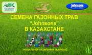 Газон. Семена Джонсонс
