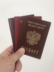 Помощь в получении статусов РВП,  ВНЖ и Гражданства в России